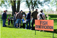 People stand at fish identification table