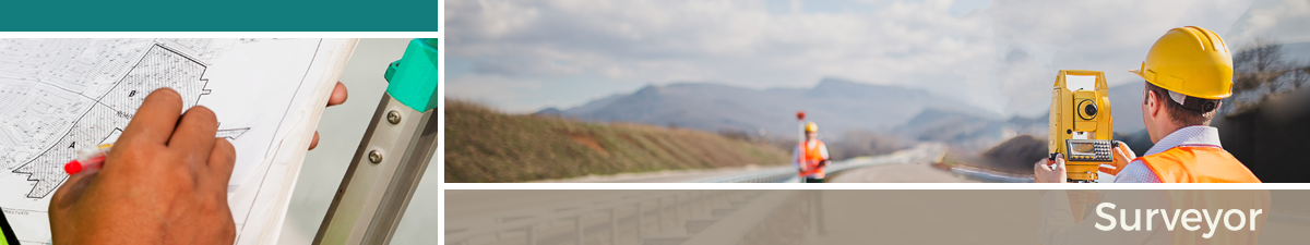 Surveyor