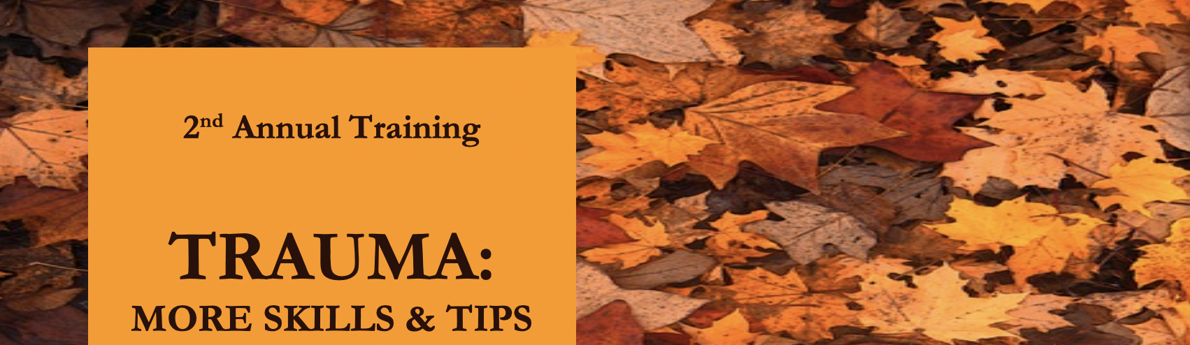 2nd Annual Training; Trauma: More skills and tips