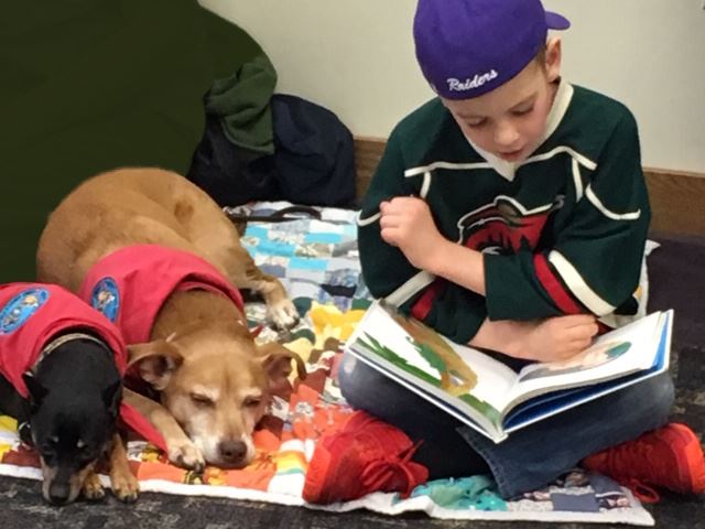 2 dogs listen while a young boy reads to them