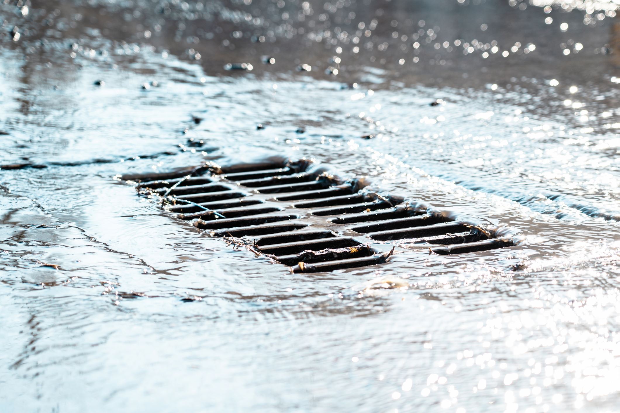 Image of storm drain during rainfall. 